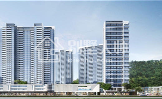 601套认购70亿 新世界杭州首开售罄的楼市信号